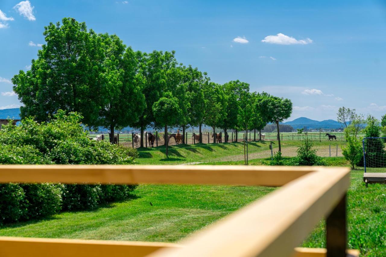 Horse Glamping Park Hotel Cirkovce Ngoại thất bức ảnh