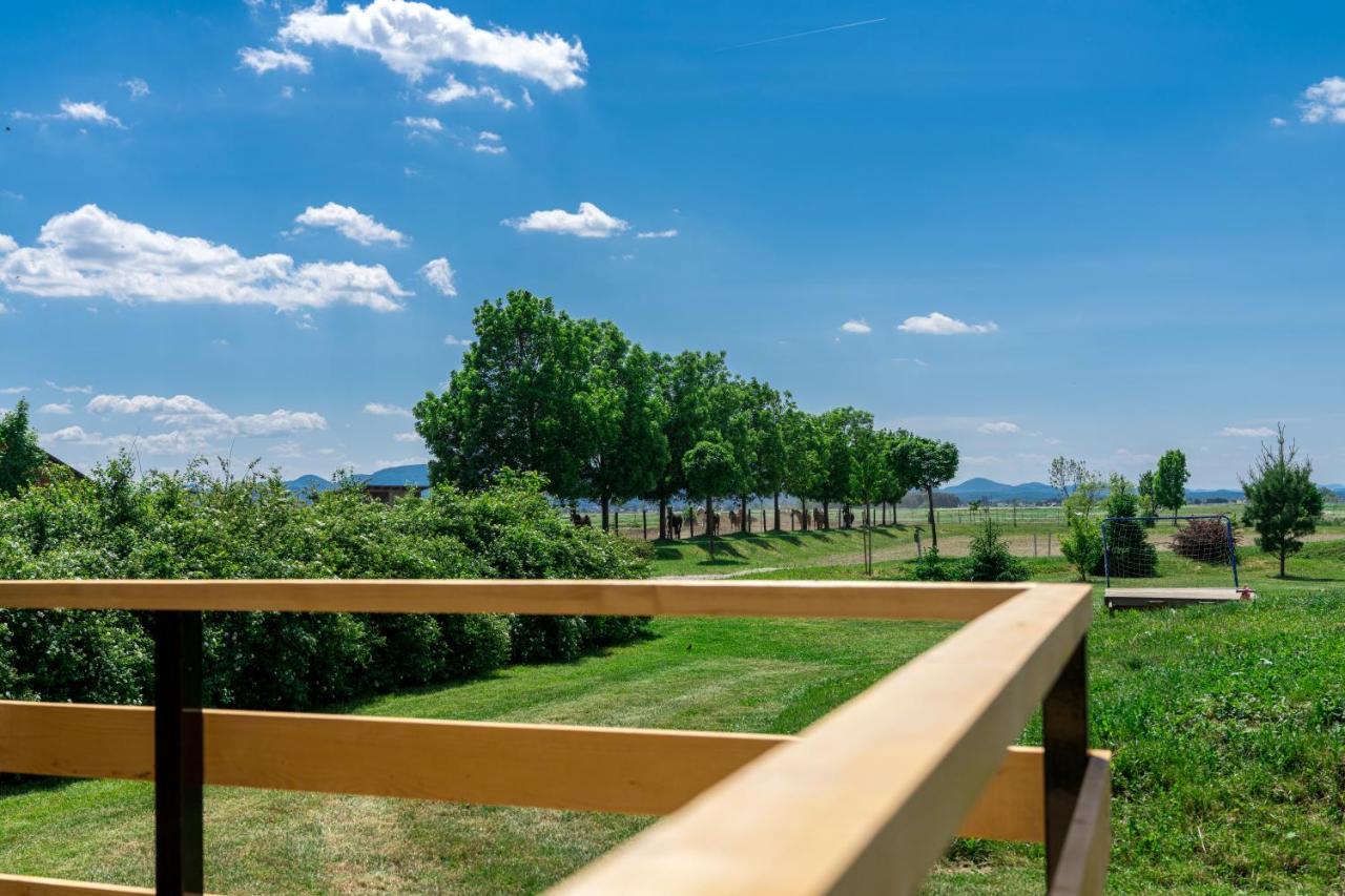 Horse Glamping Park Hotel Cirkovce Ngoại thất bức ảnh